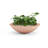 Oceanside Shallow Concrete Planter-714593618-714593640