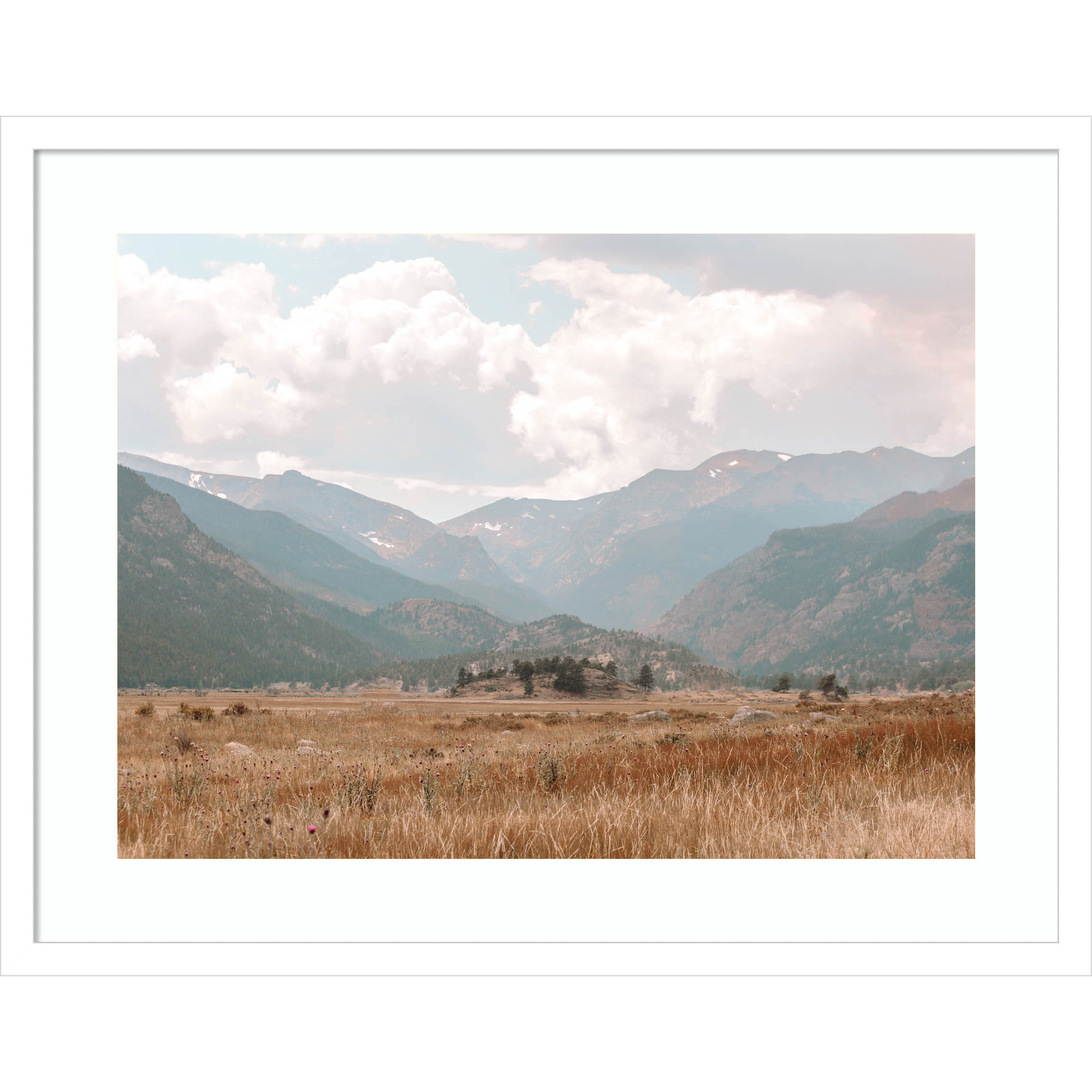 Wanderings by Alicia Abla, 20" H x 25" W x 1" D, White