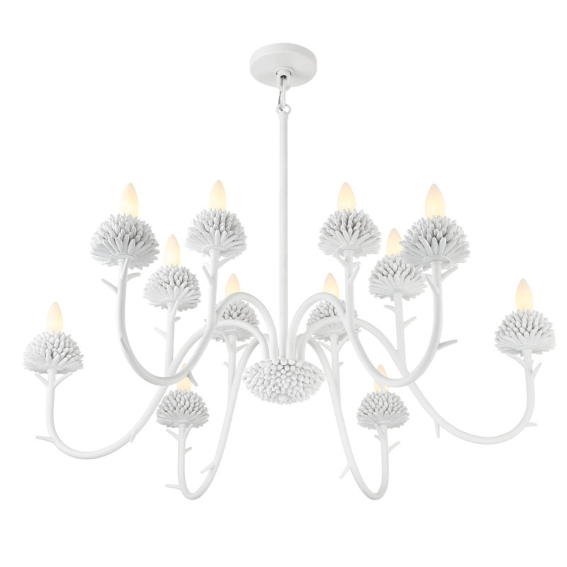 12 - Light Dimmable Classic / Traditional Chandelier