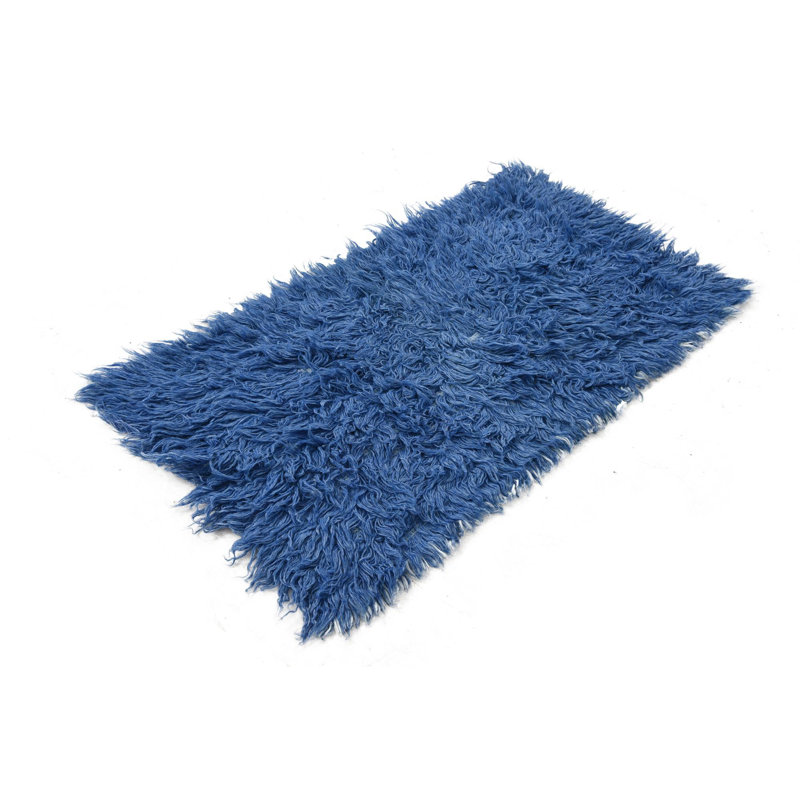 2x4 Phillippi Blue Rug