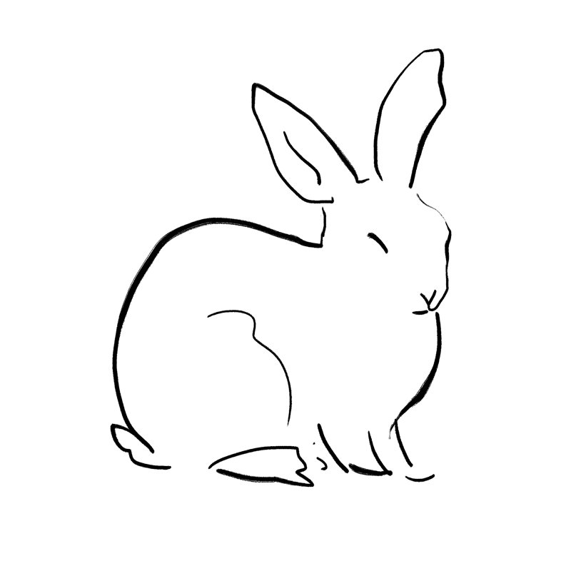 Contour Bunny - Wrapped Canvas Painting, 51cm H x 51cm W x 3.8cm D