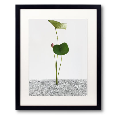 White Light #002 Print by Keiichiro Muramatsu