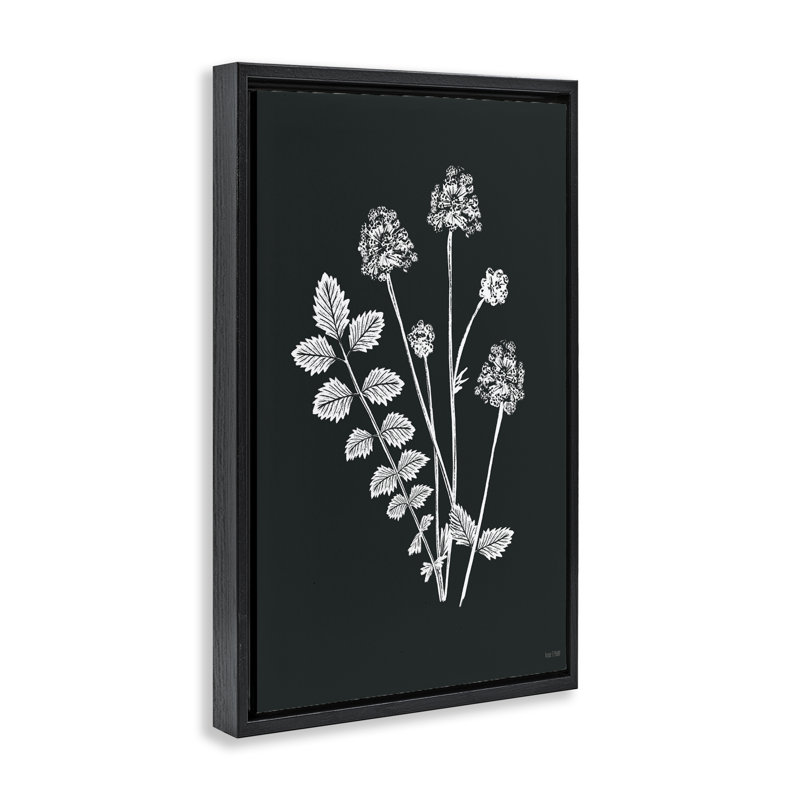 Toile flottante encadrée Herb Bunches Impression par House Fenway, H 25 po x l 17 po, Cadre flottant noir de jais
