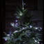 String Lights-811002114