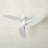 60'' Ceiling Fan-2048175950