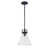Oil Rubbed Bronze