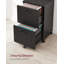 Cambrie 16.7" W 2-Drawer Mobile Vertical Filing Cabinet-720686000