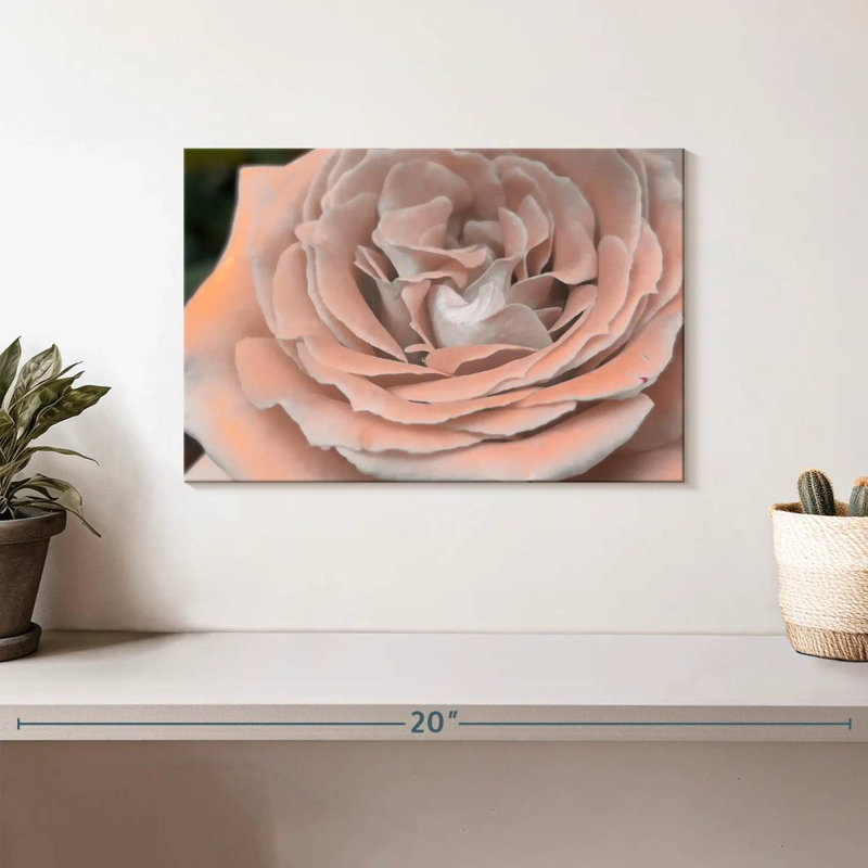 Rose pétale Harnek