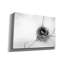 «Nest and Branch IV» par Debra Van Swearingen, art mural sur toile-1540687290