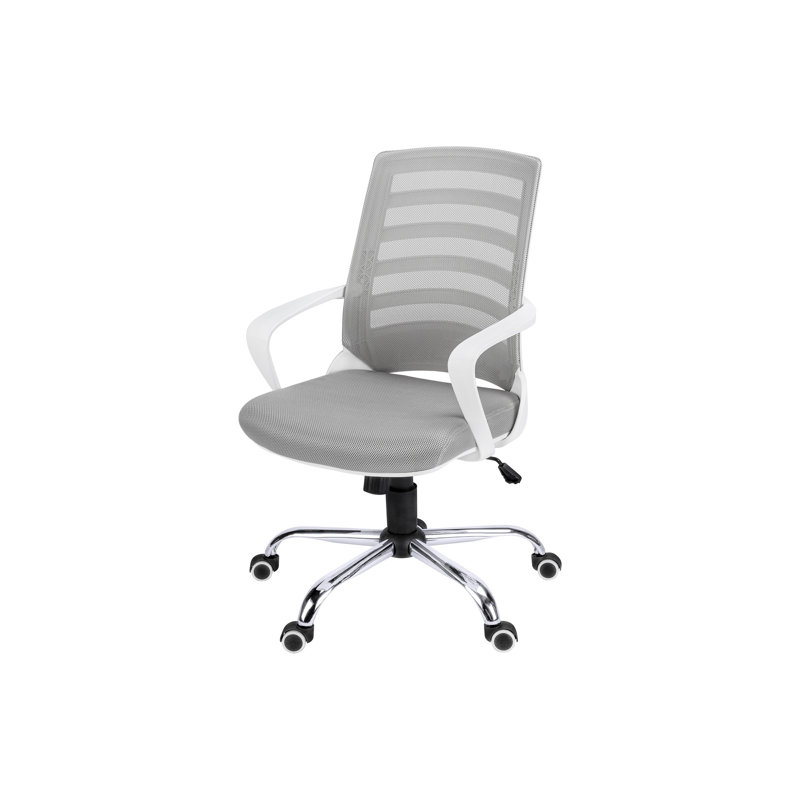 Office Chair, Silver, White