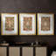 Ensemble de 3 pièces, de la série CCR-XXX de Wm Morris, impression personnalisée sur mesure matte-716144373-716144363
