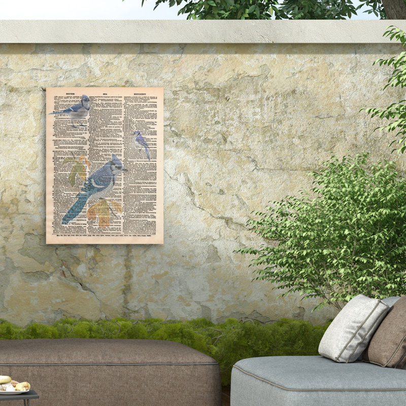 Toile d'extérieur Marcus Jules Blue Jay, H 14 po x l 19 po