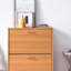 10 Pair Flip Down Shoe Storage