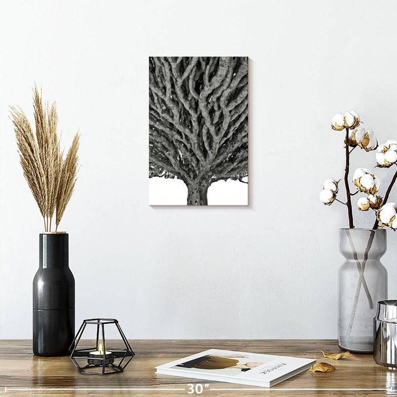 Arbre dragon Harnek, H 12 po x l 8 po