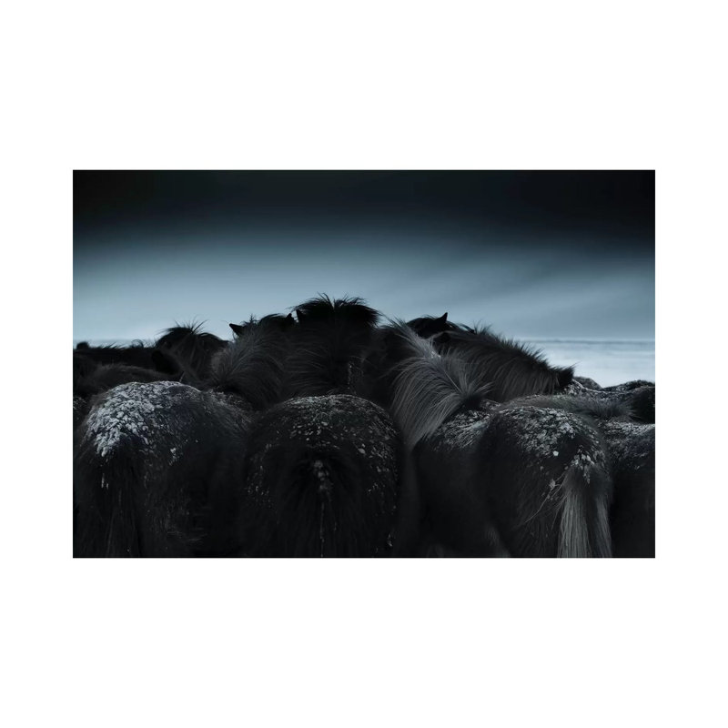 Cold Weather by Bingo Z - Wrapped Canvas Print, 20.32 cm H x 30.48 cm W