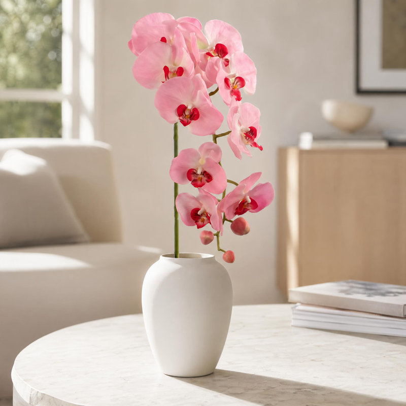 Orchidée en vaporisateur, Rose