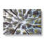 Tree Tops - Wrapped Canvas-56645507
