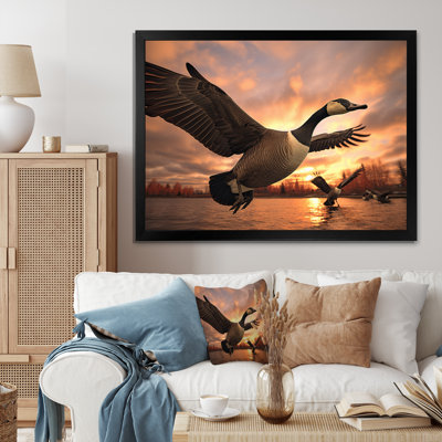 " Canada Canadian Geese I "