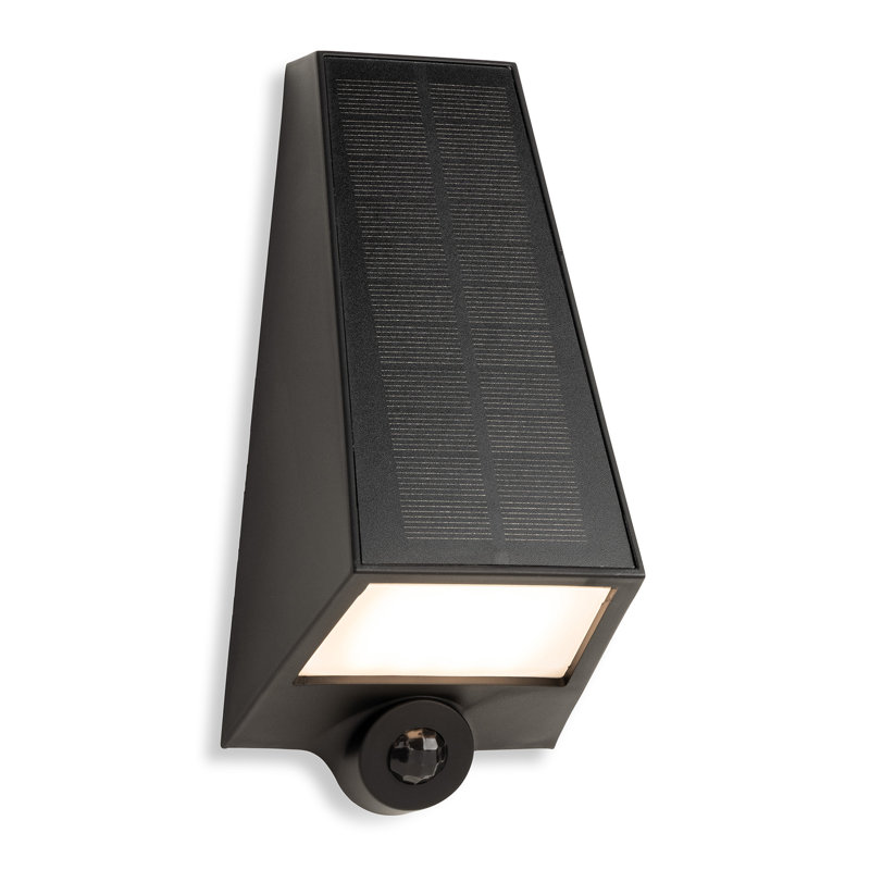 Black 19cm H Solar Powered Integrated LED Outdoor Bulkhead Light