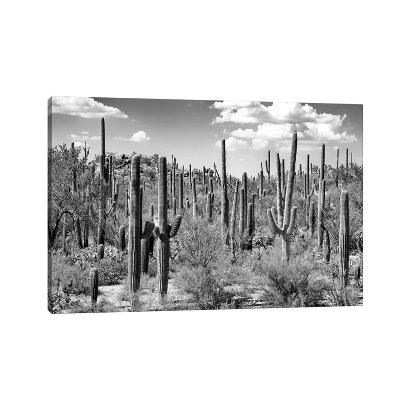 Arizona Series - Saguaro Cactus Forest by Philippe Hugonnard - Wrapped Canvas Print, 20.32 cm H x 30.48 cm W