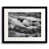 Black Framed Paper is unavailable