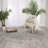 Baronets Wool/Luxcelle Cream Area Rug-1053936382