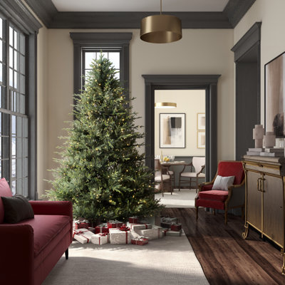 Lighted Christmas Tree