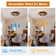 19.7”Ceiling Fan with Light, Lighting Kit Not Included
