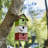 Jaquelyne 14 in x 7 in x 5 in Birdhouse