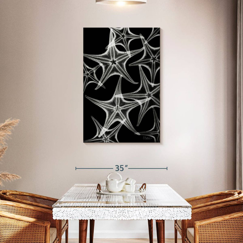 Brampt White Starfish, 24" H x 16" W