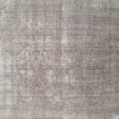 Shotwell Oriental Indoor Rug