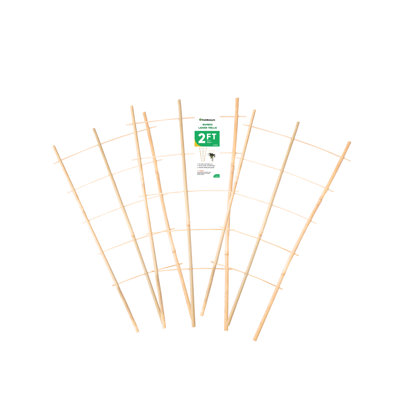 2ft Wooden Fan Trellis, 3pcs – Plant Support for Climbing & Potted Plants