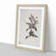 Wild Geese in Flight by Bian Shoumin - Framed Print-55611855-55611859