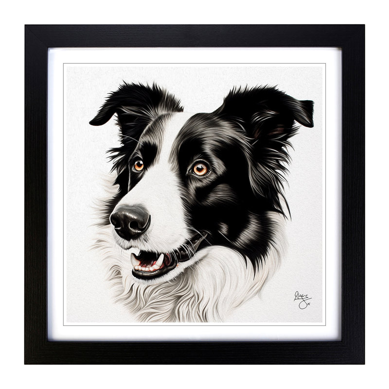 Border Collie Drawing - Framed Print, Black