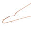 Arbolente Metal Non-Slip Standard Hanger