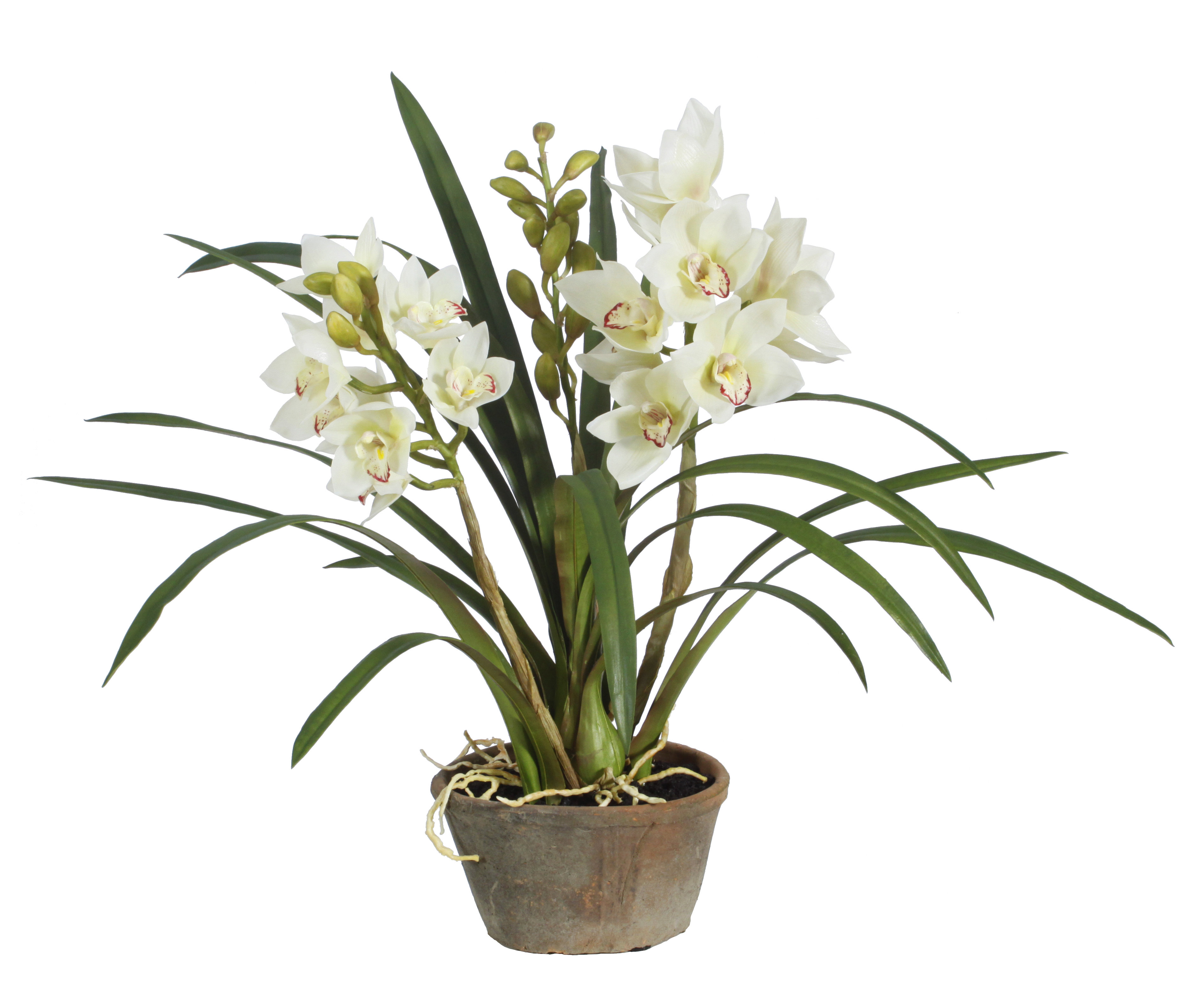 Winward Silks Cymbidium Floral Arrangement in Pot Perigold