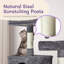 Grande maisonnette pour chat 65 pouces