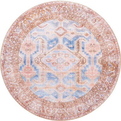 Mcclamma Chenille Oriental Indoor Rug