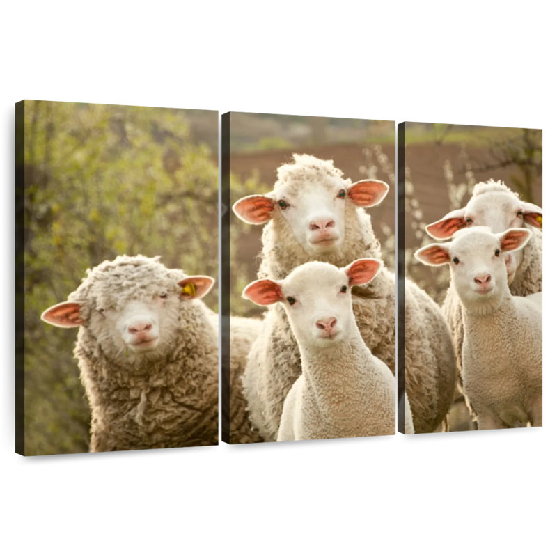 Brampt Stunned Sheep, 36" H x 57" W