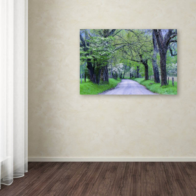 Cliffton «Cades Cove Lane», reproduction de photo sur toile tendue, H 16 po x l 24 po x P 2 po