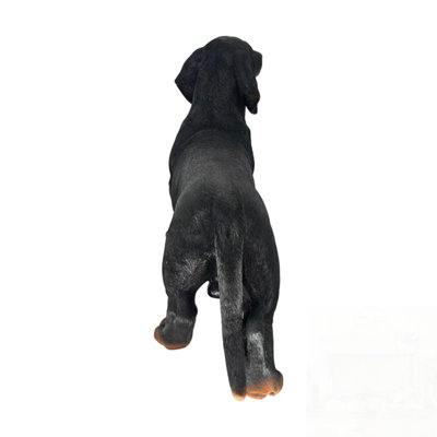 Realistic Dachshund Statue, Life-Size Resin Figurine for Outdoor and Indoor Decor, Perfect Gift for Dog Lovers