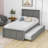 Dragojla Twin Size Wood Platform Bed with Trundle-307355157