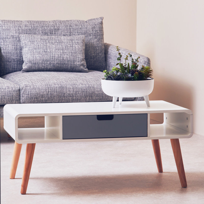 Cahoon Four Leg Coffee Table with Storage
