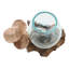 Sculpture printemps champignon en bois et verre
