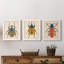 Beetle Bug I - ensemble de 3 peintures sur toile encadrées-1777886078-1777886049
