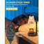 Luminaire Milord