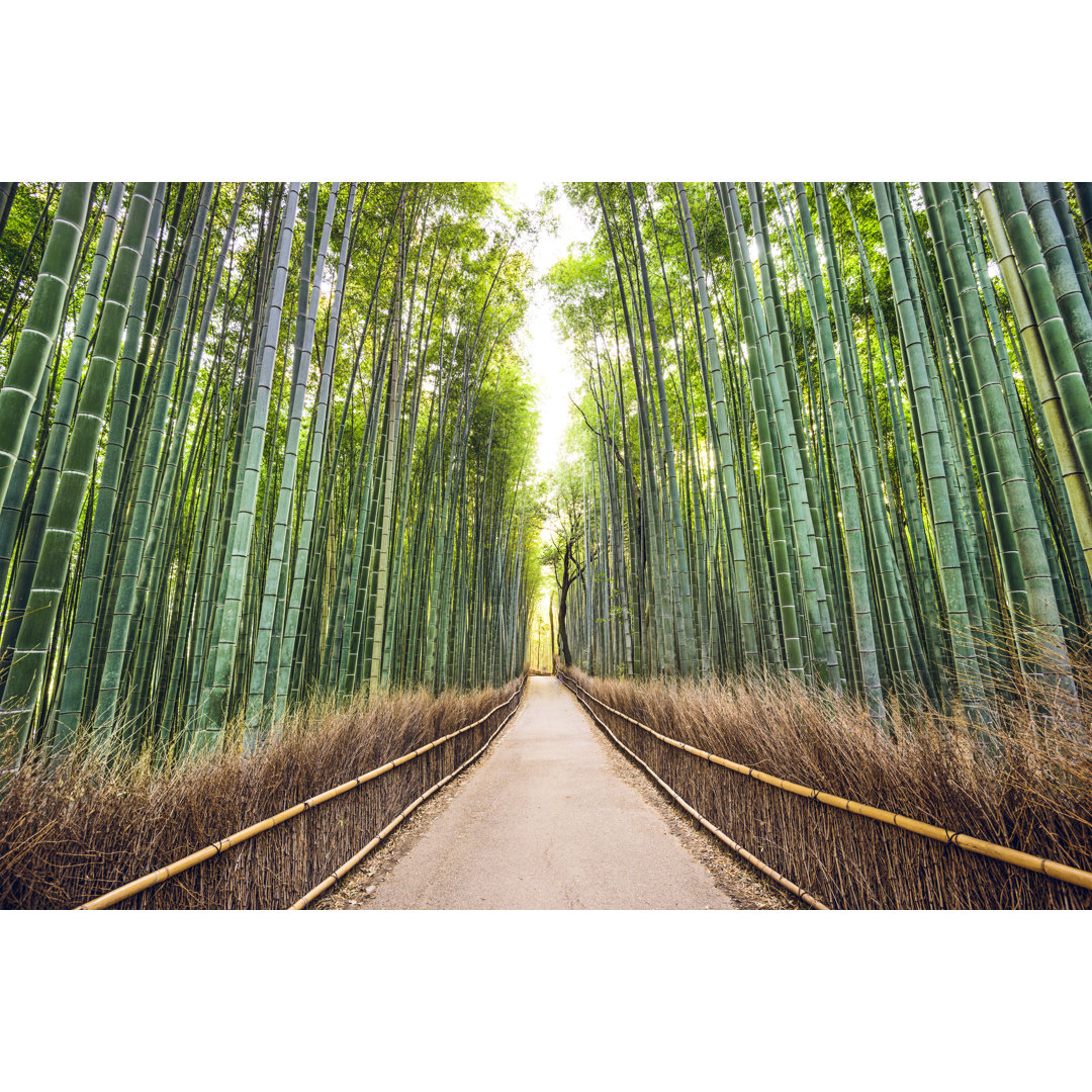 Bamboo Forest by SeanPavonePhoto - Wrapped Canvas Photograph