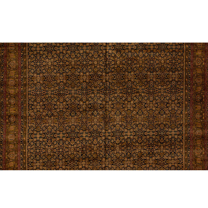 Wool Oriental Area Rug