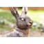 Vreeland Animals Waterproof Plastic Garden Statue