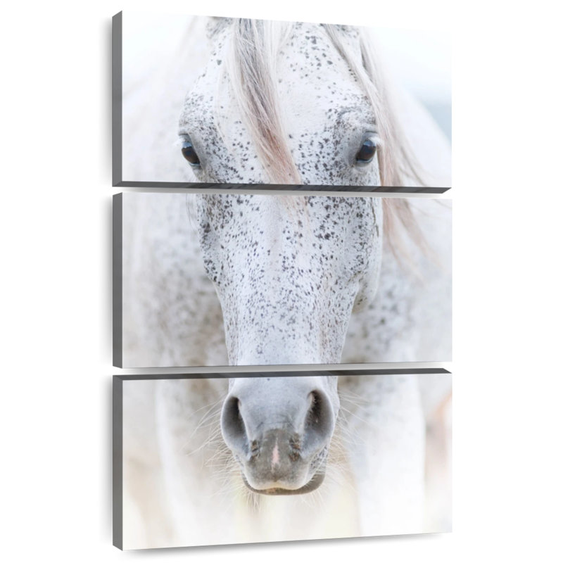 Freckled Arabian Horse, H 32" x l 20"